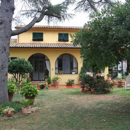 Tenuta Poggio Alla Farnia Fauglia Dış mekan fotoğraf