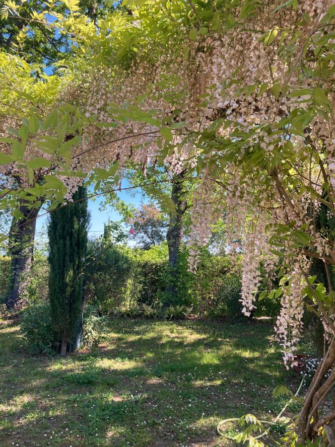 Tenuta Poggio Alla Farnia Fauglia Dış mekan fotoğraf