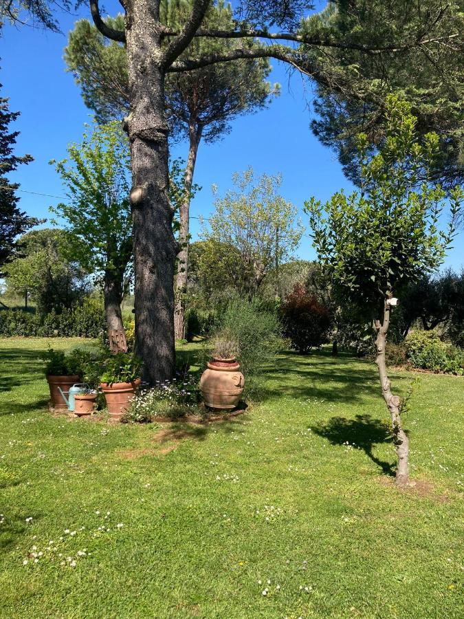 Tenuta Poggio Alla Farnia Fauglia Dış mekan fotoğraf