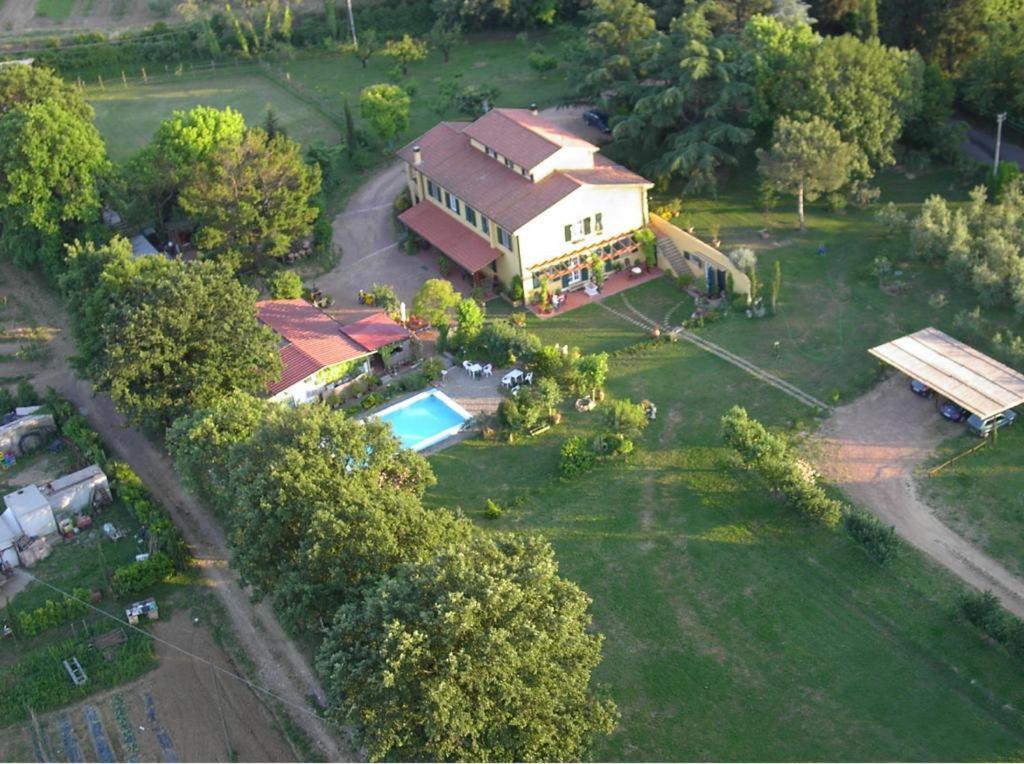Tenuta Poggio Alla Farnia Fauglia Dış mekan fotoğraf